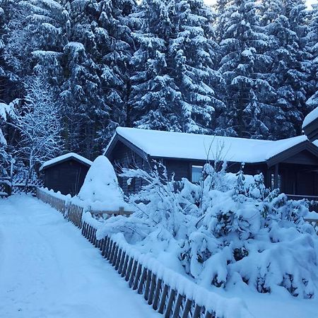 Waldsee-Ferienhaus-Mit-Kamin-W-Lan Clausthal-Zellerfeld Esterno foto