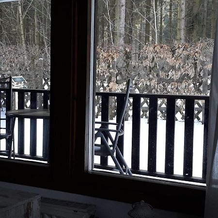 Waldsee-Ferienhaus-Mit-Kamin-W-Lan Clausthal-Zellerfeld Esterno foto